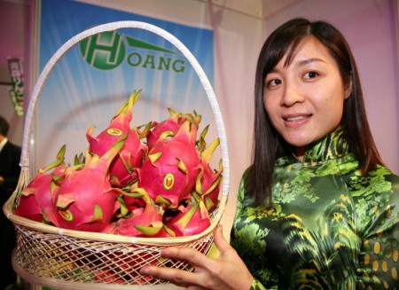 Prospek Budidaya Buah Naga